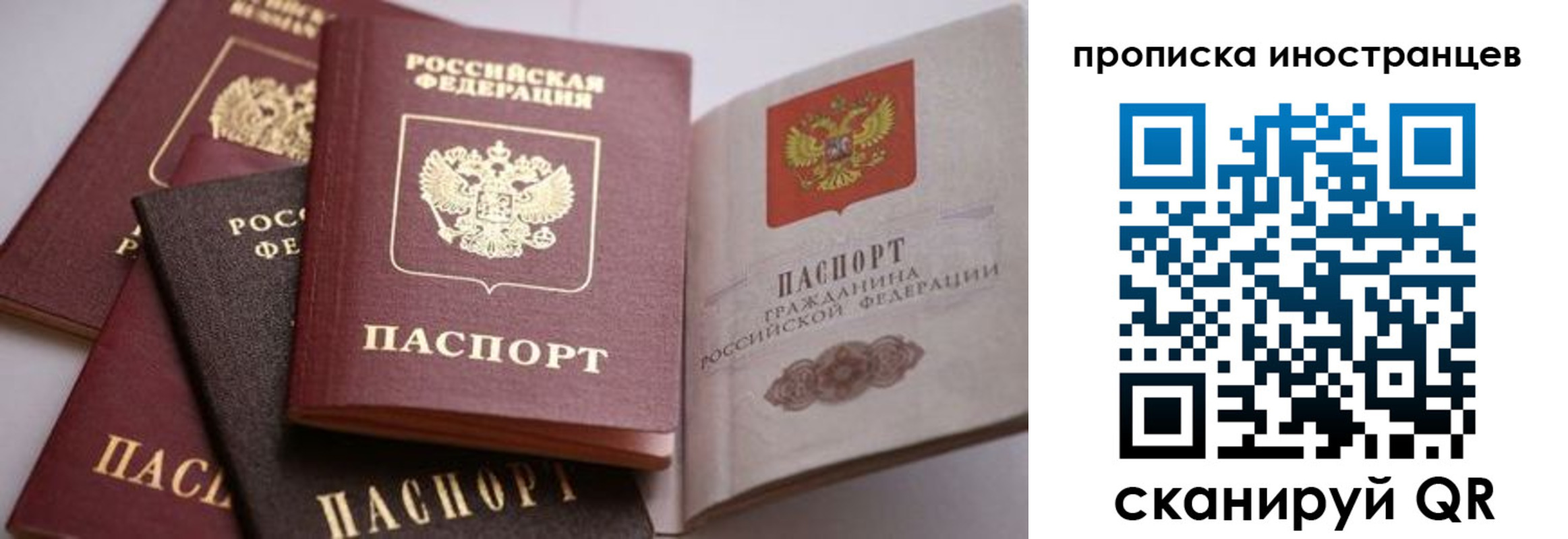 пропишу в квартире в Севастополе